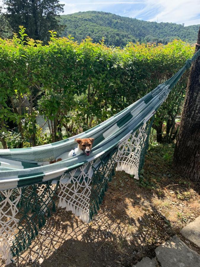 Barco Mediceo B&B In Toscana Καρμινιάνο Εξωτερικό φωτογραφία
