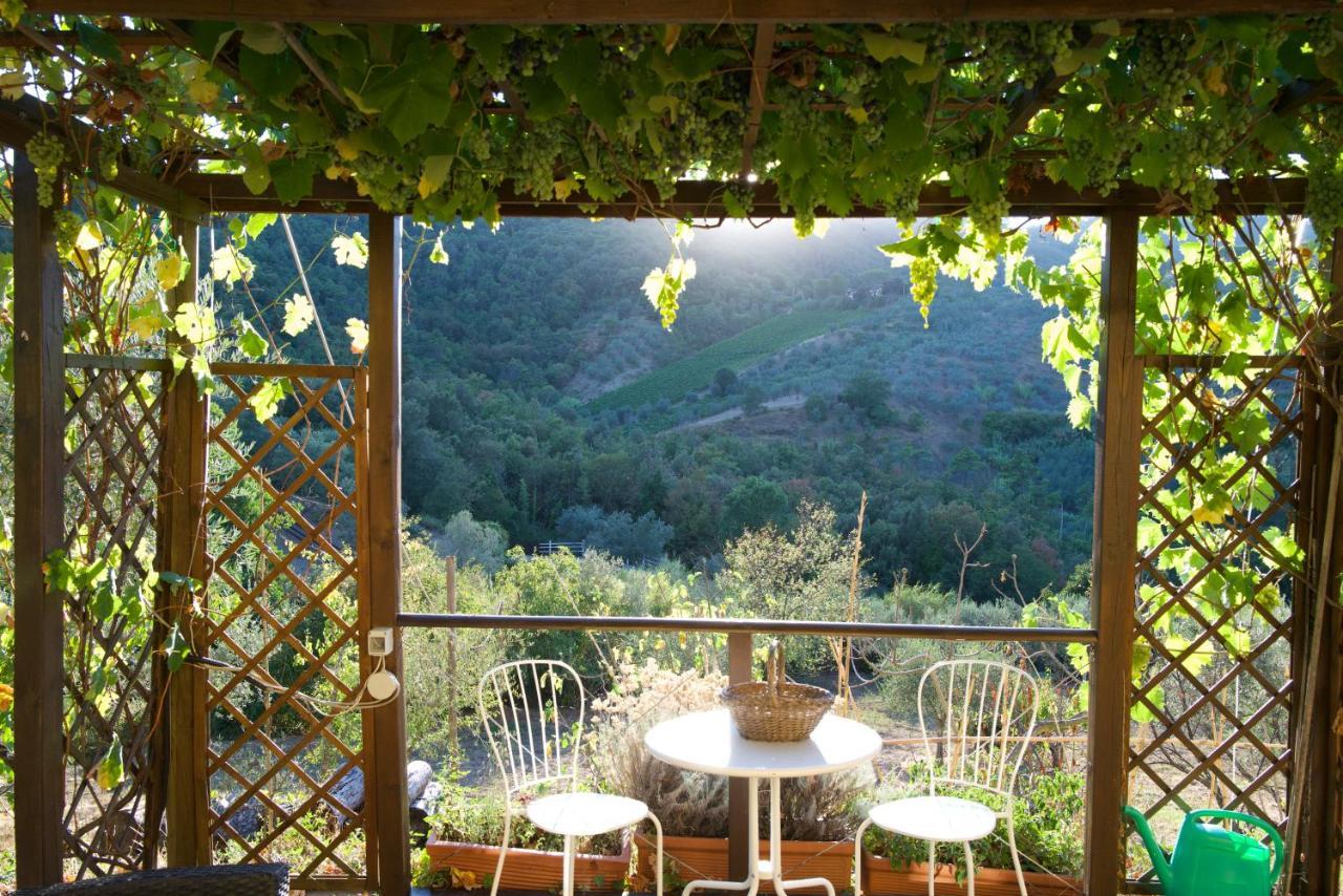 Barco Mediceo B&B In Toscana Καρμινιάνο Εξωτερικό φωτογραφία
